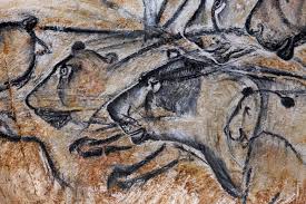 dessin de la grotte chauvet