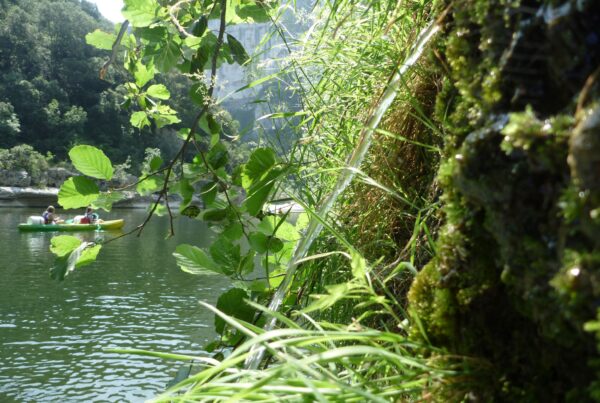 rivière Ardèche avec un canoë jaune et vert devant une source qui coule